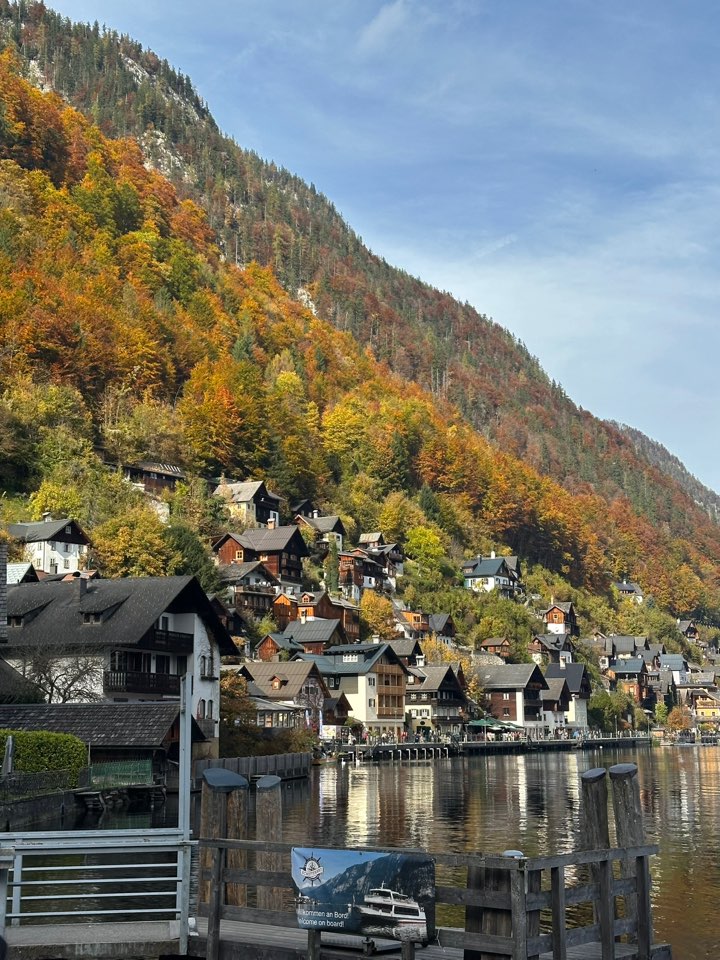 8847fd5b114d6deed0dd8cddbebe6e67_1761647989_5678.jpg 8847fd5b114d6deed0dd8cddbebe6e67_1761647989_5678.jpg