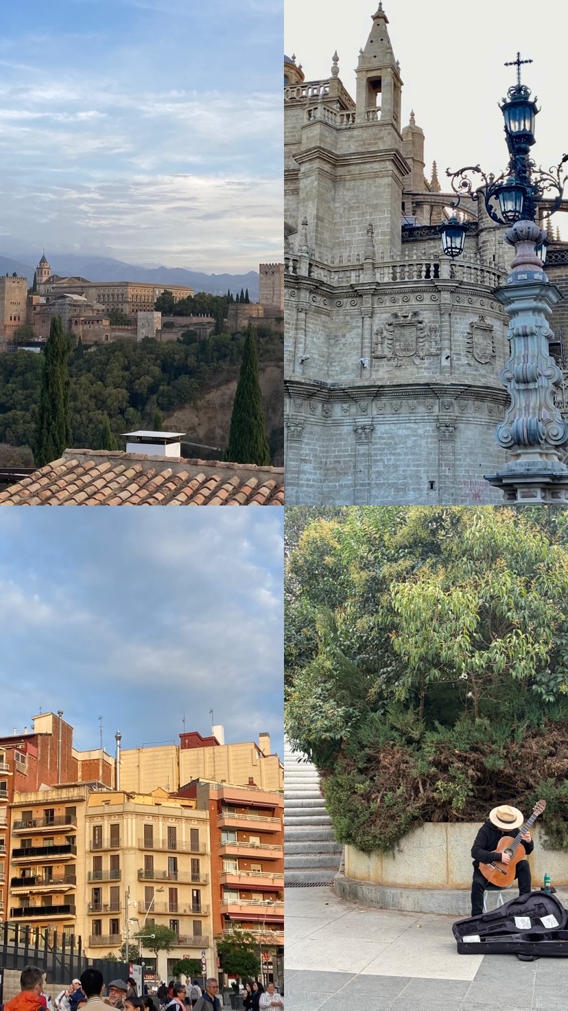 4603fddc3fc546a4f9f55eef6d54db73_1762066864_8008.jpeg 4603fddc3fc546a4f9f55eef6d54db73_1762066864_8008.jpeg