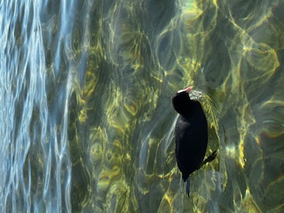 dc6da849e65590f6e1a4a68b91336a4a_1769593490_4884.jpeg dc6da849e65590f6e1a4a68b91336a4a_1769593490_4884.jpeg