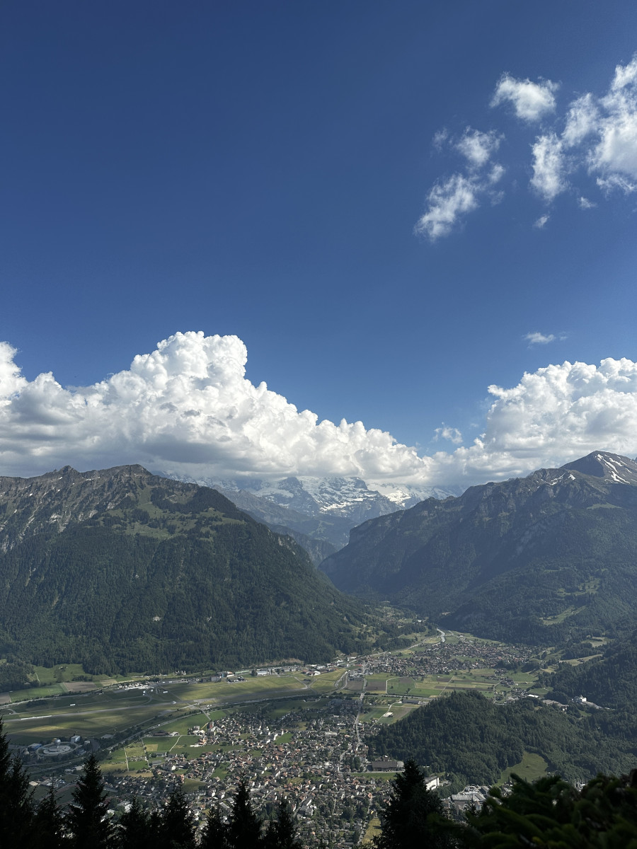 a945abb659cf01046a499119bb97d335_1781346260_2531.jpeg