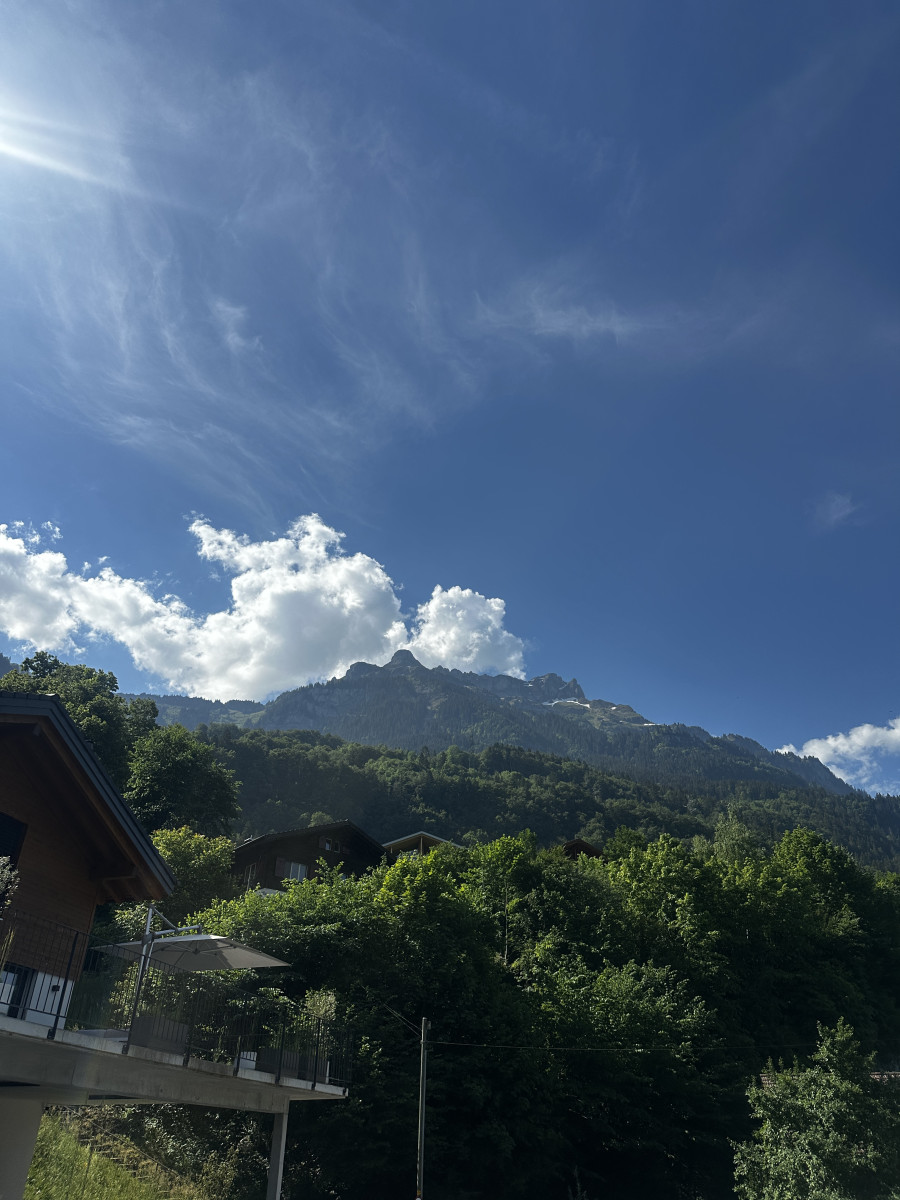a945abb659cf01046a499119bb97d335_1781346261_6108.jpeg