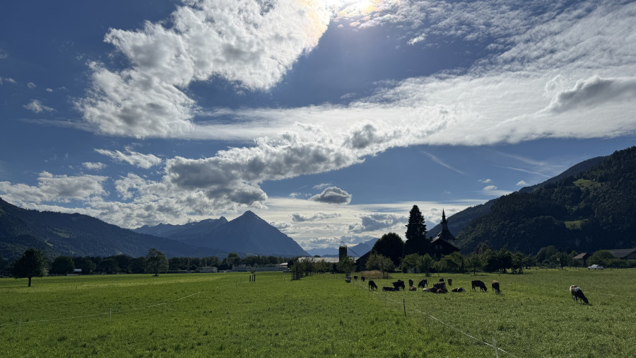 eefa1fcb8236a1809870829228b1eb5f_1782276615_1096.jpeg